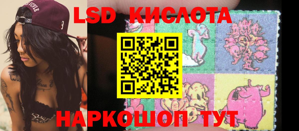 Наркотические марки 1,5мг  Вход с VPN  Наркотические марки 1,5мг  Наркотические марки  Жуковский 