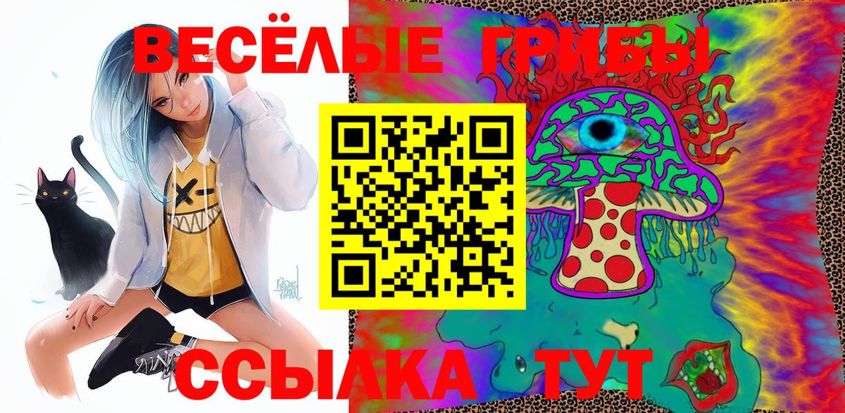 Псилоцибиновые грибы MAGIC MUSHROOMS Жуковский